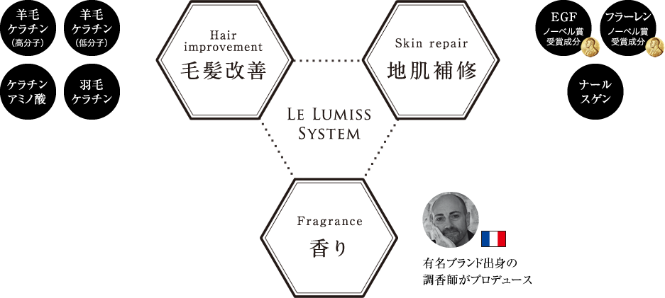 Le lumiss stystem